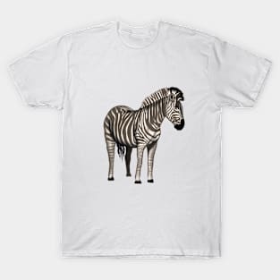 Zebra T-Shirt